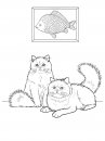 coloring_pages/cats/cats_ 23.jpg